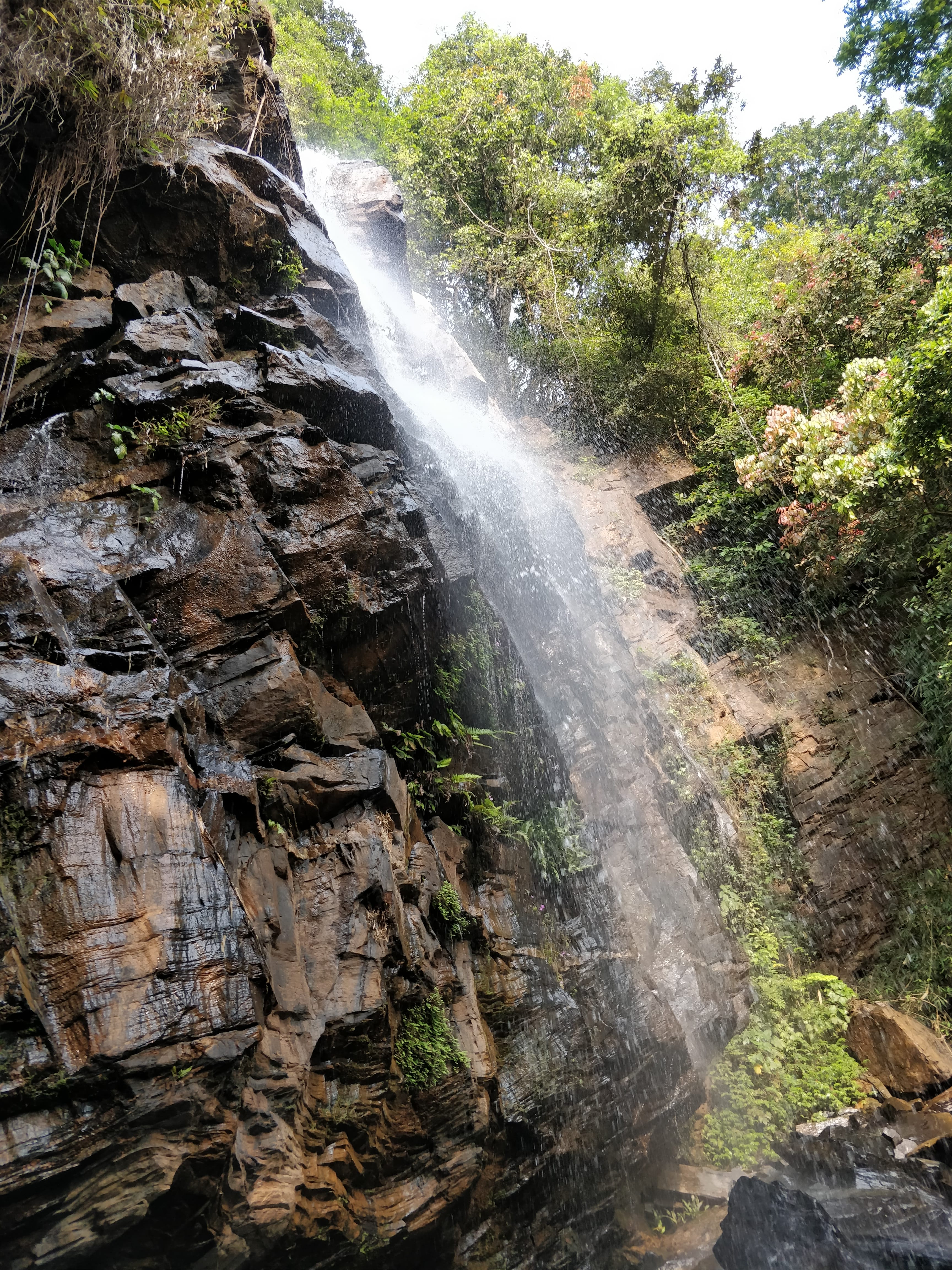 Elanneru falls