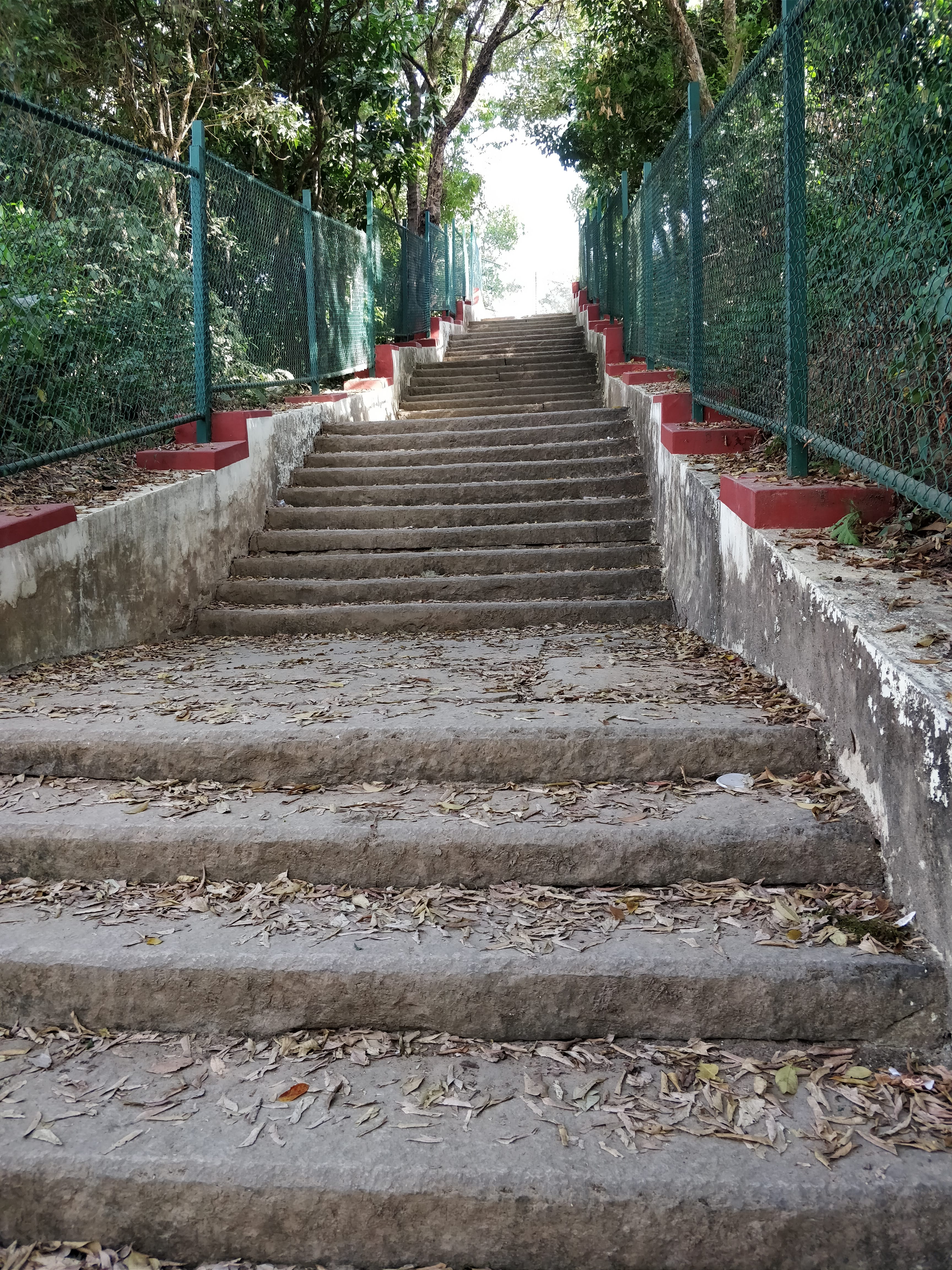 steps on top of Kundadri hills