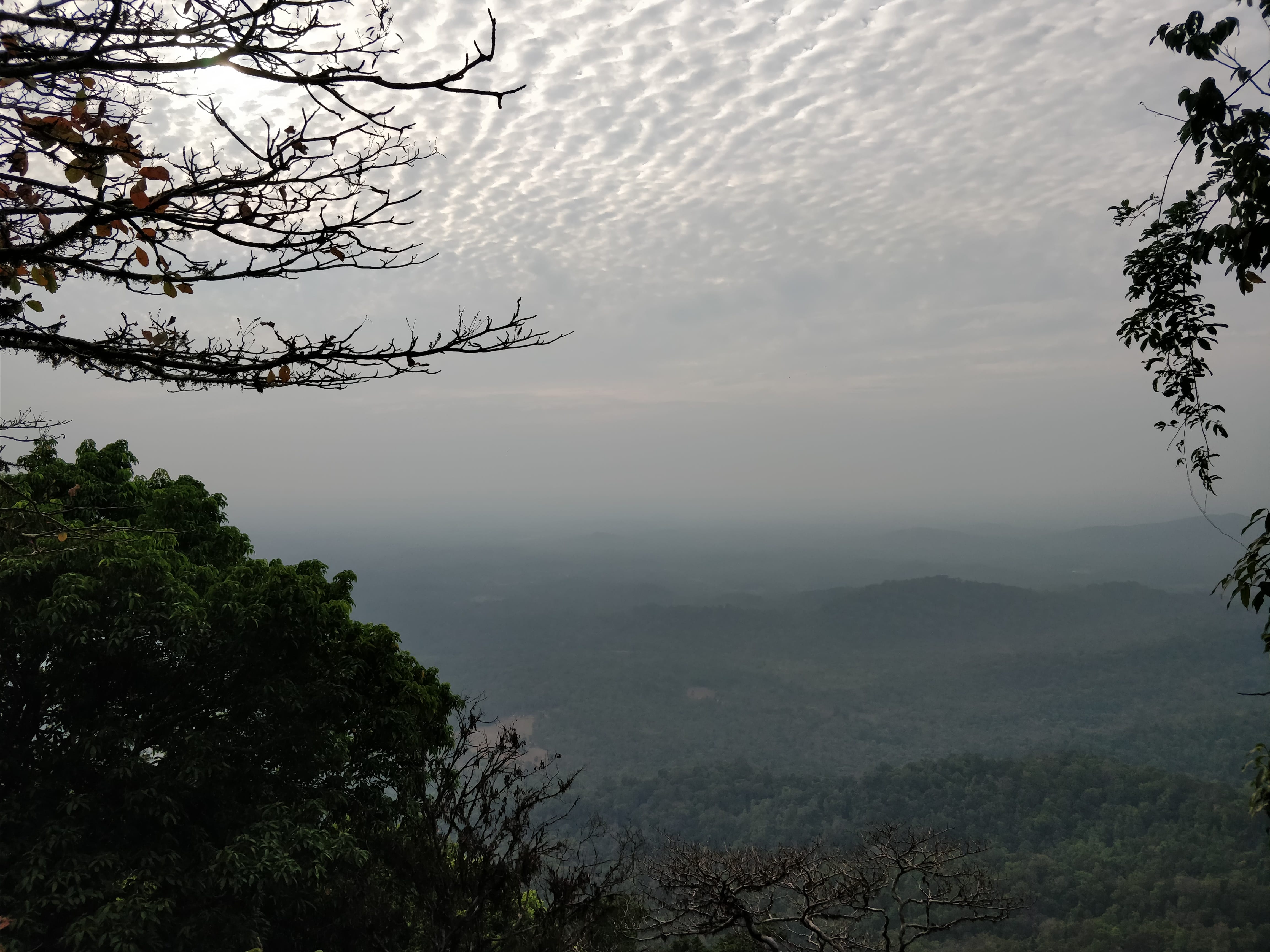 View at Agumbe