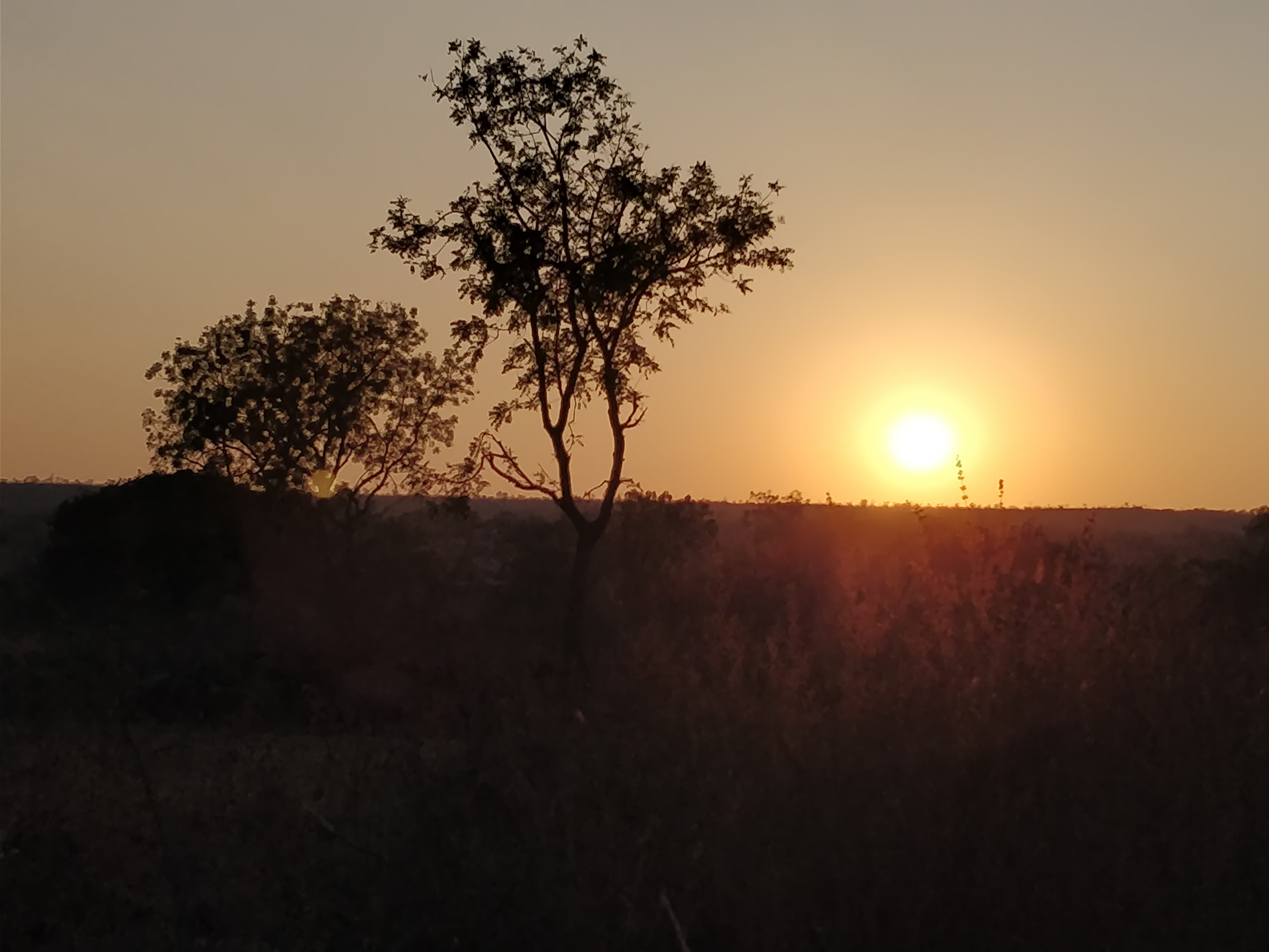 sunset at Godachinmalki village