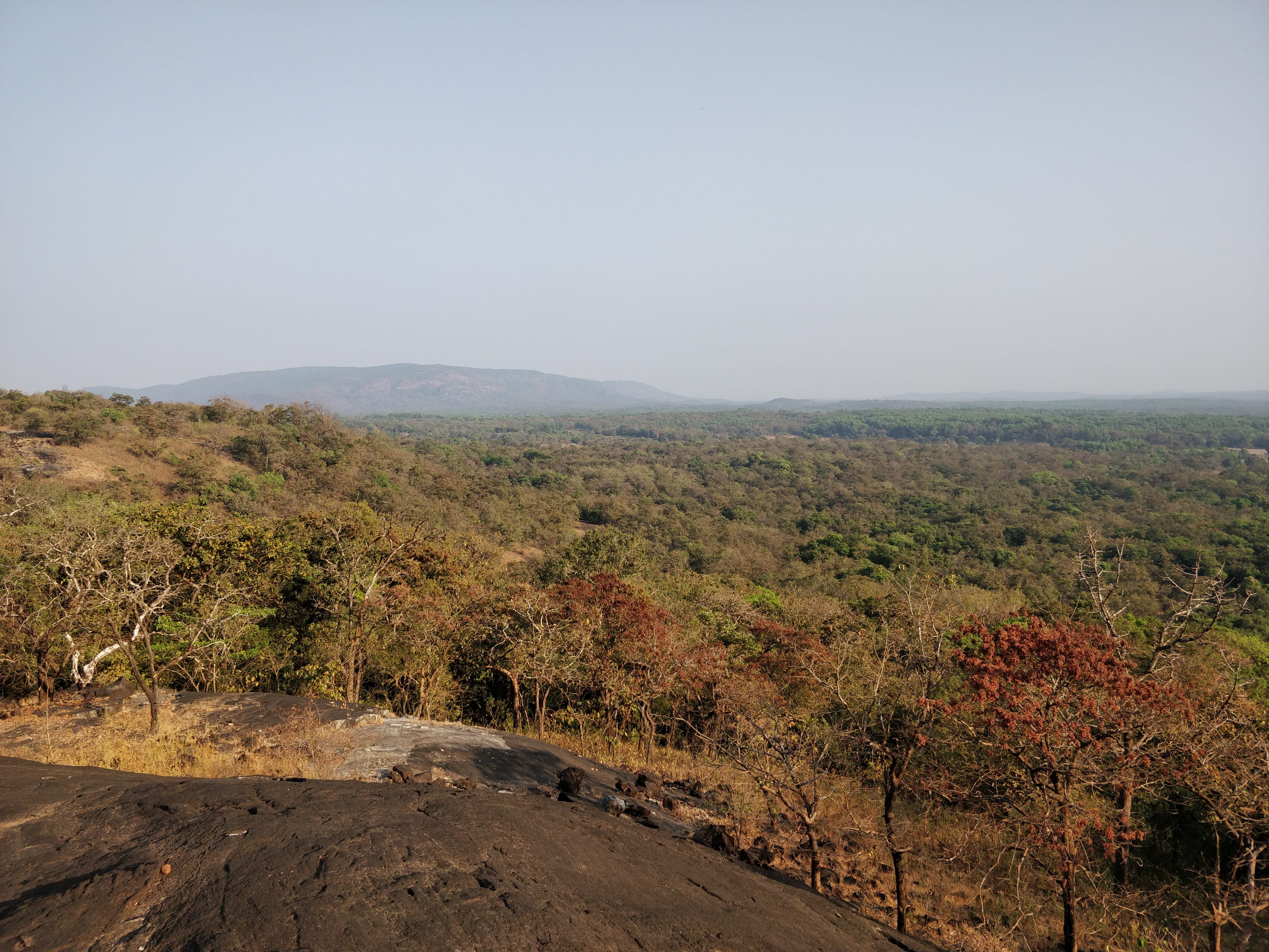 at the view point - view of the Bhimgad forest