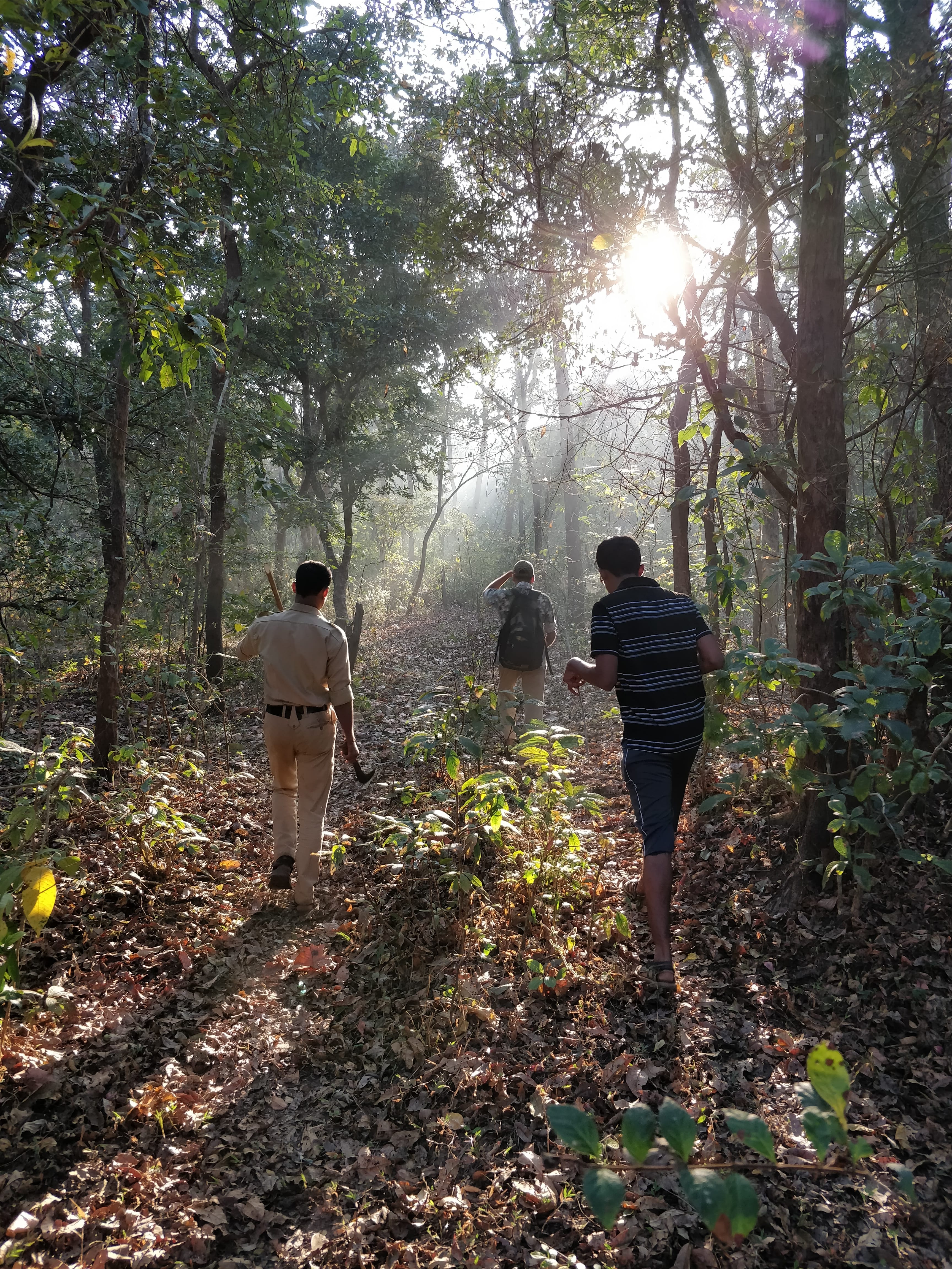 forest trek in Bhimgad forest with the guards