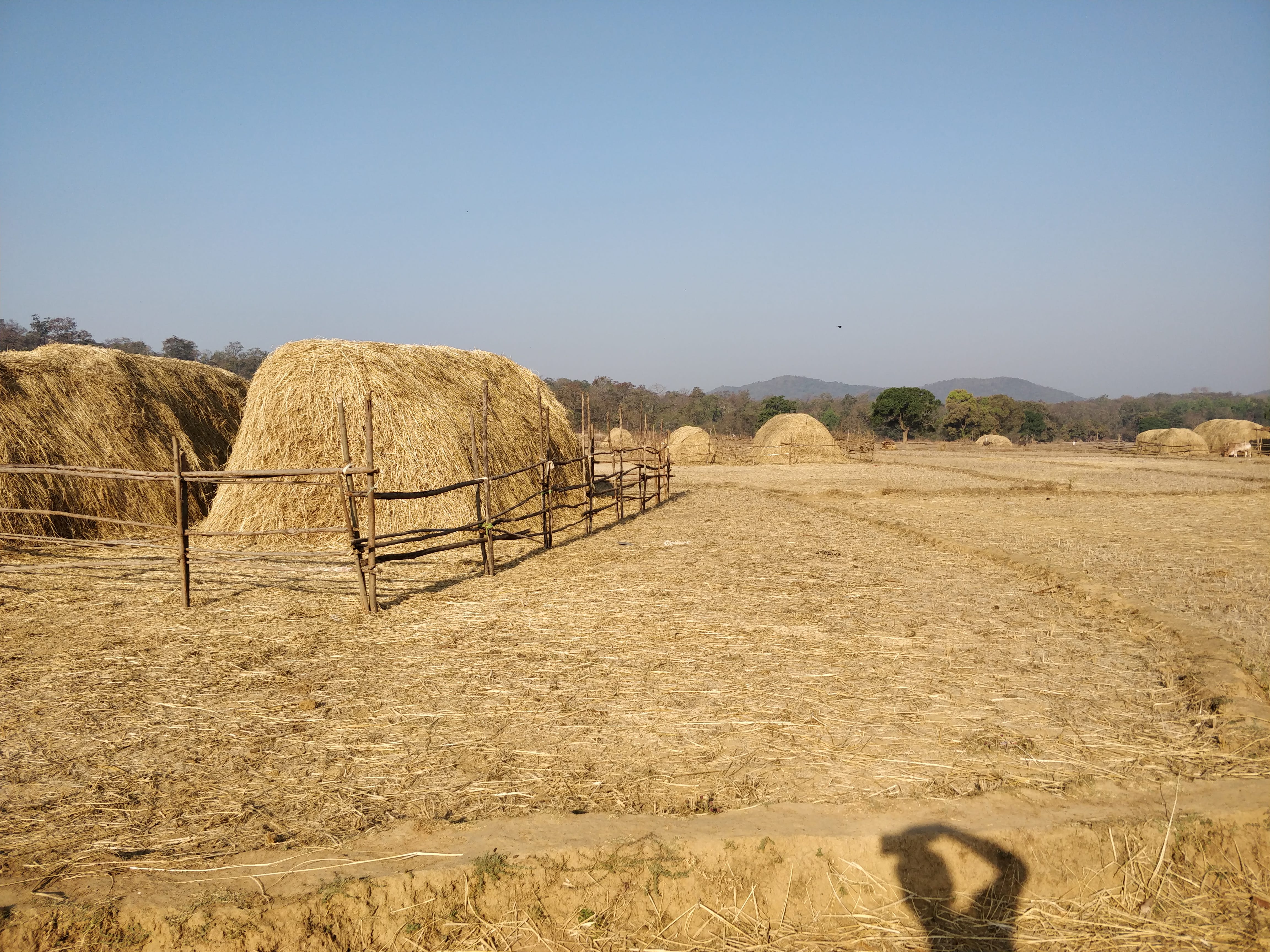 haystack, fields at a village, bhimgad