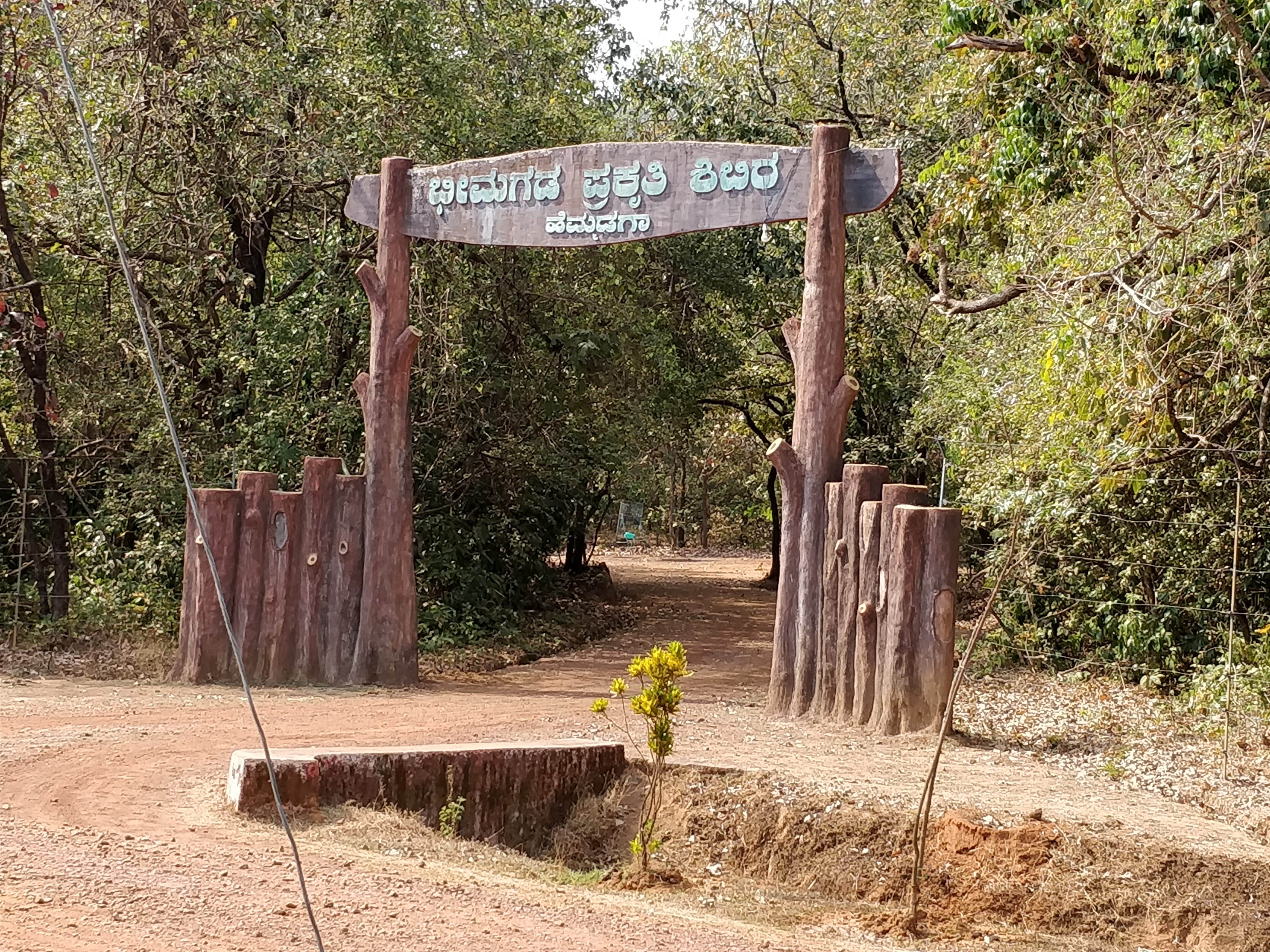 forest camp - bhimgad prakrathi shibhira, hemmadga