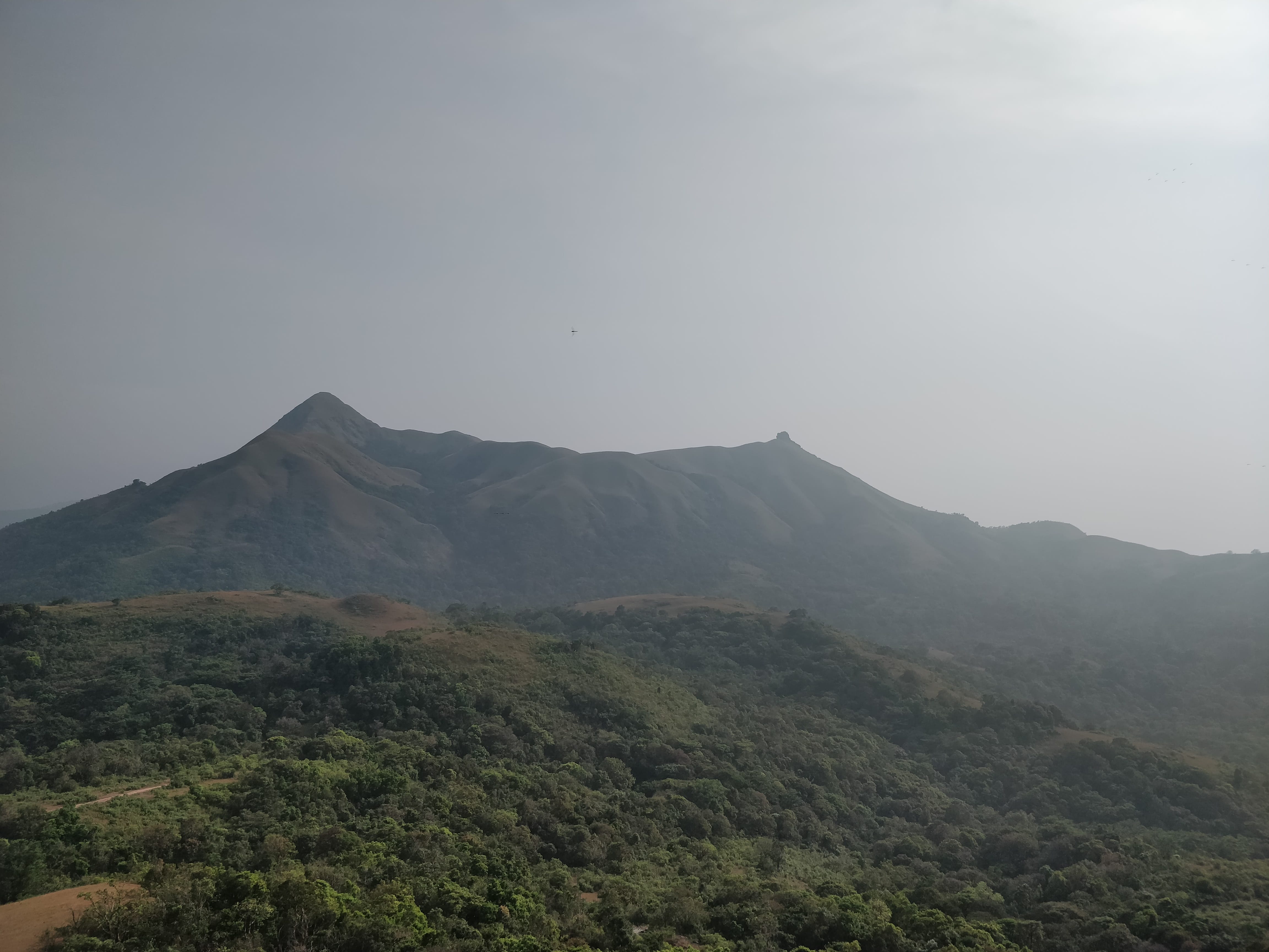 click from Pandava hills (Mekanagadde Betta)