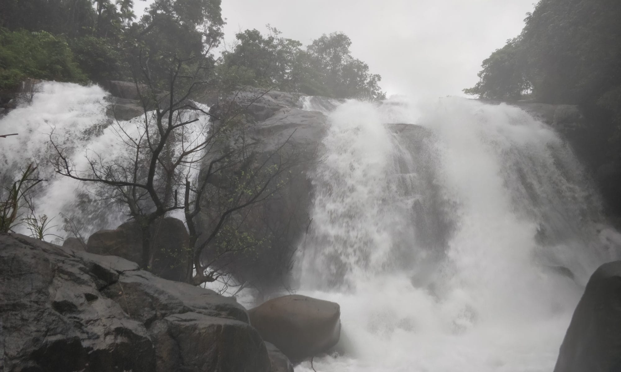 joyisaragundi falls